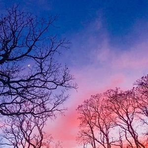 Meet your Posher, Emma caroline